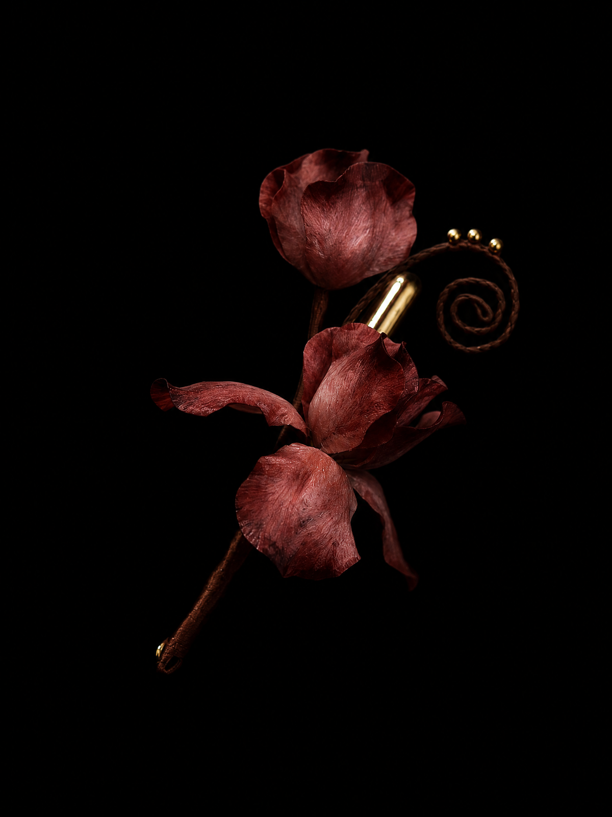 Drained Ventricle · Silent Devouring